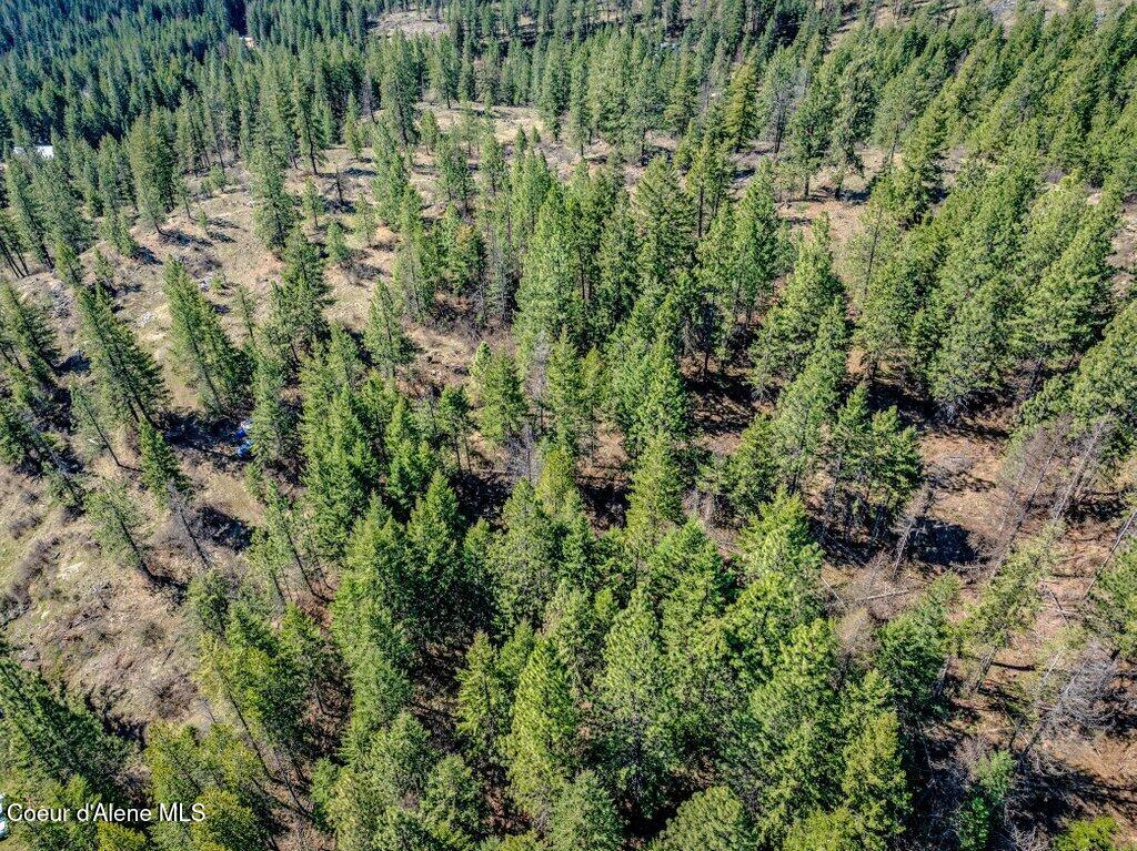 NKA Timbered Ridge Rd