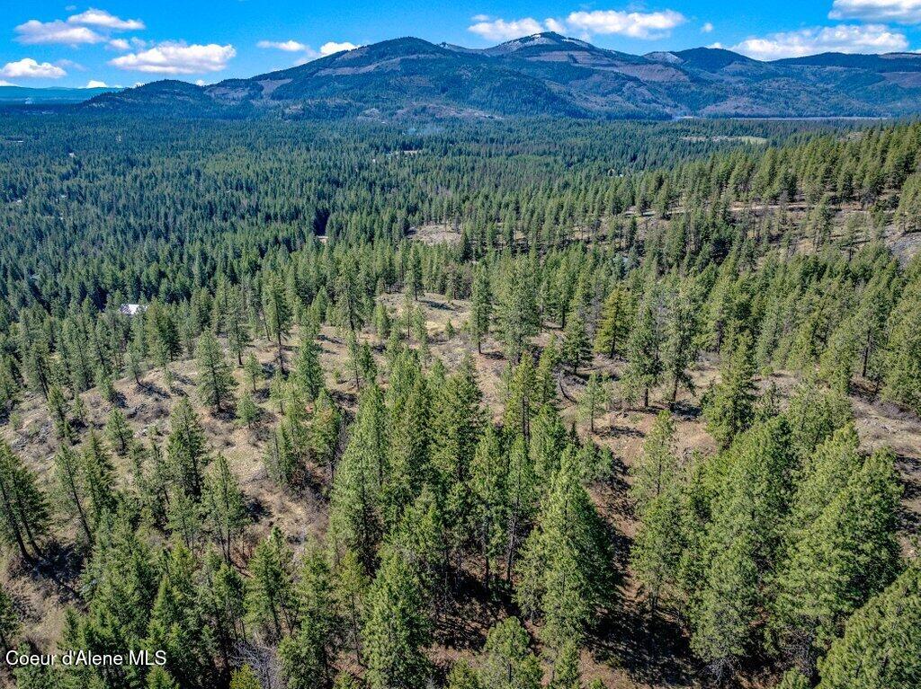 NKA Timbered Ridge Rd