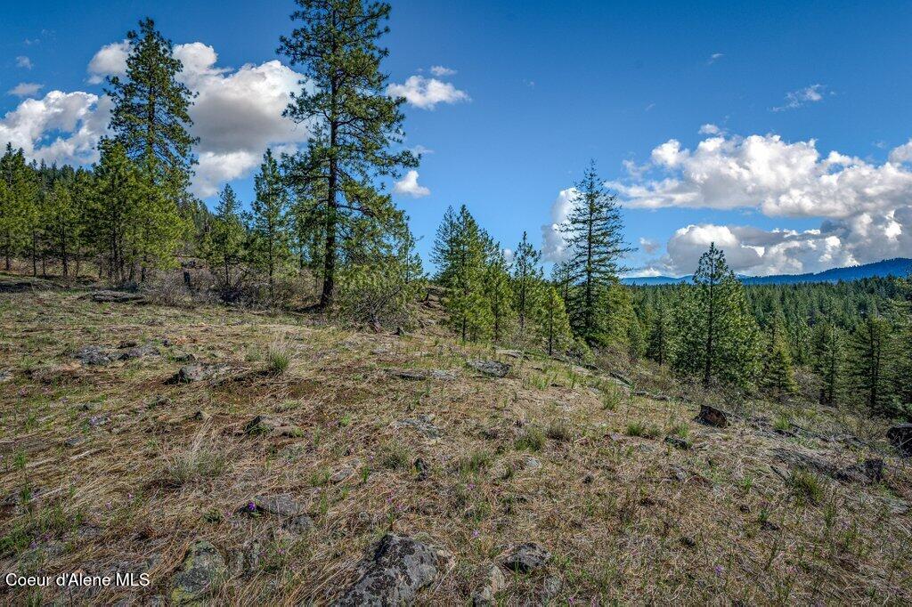 NKA Timbered Ridge Rd