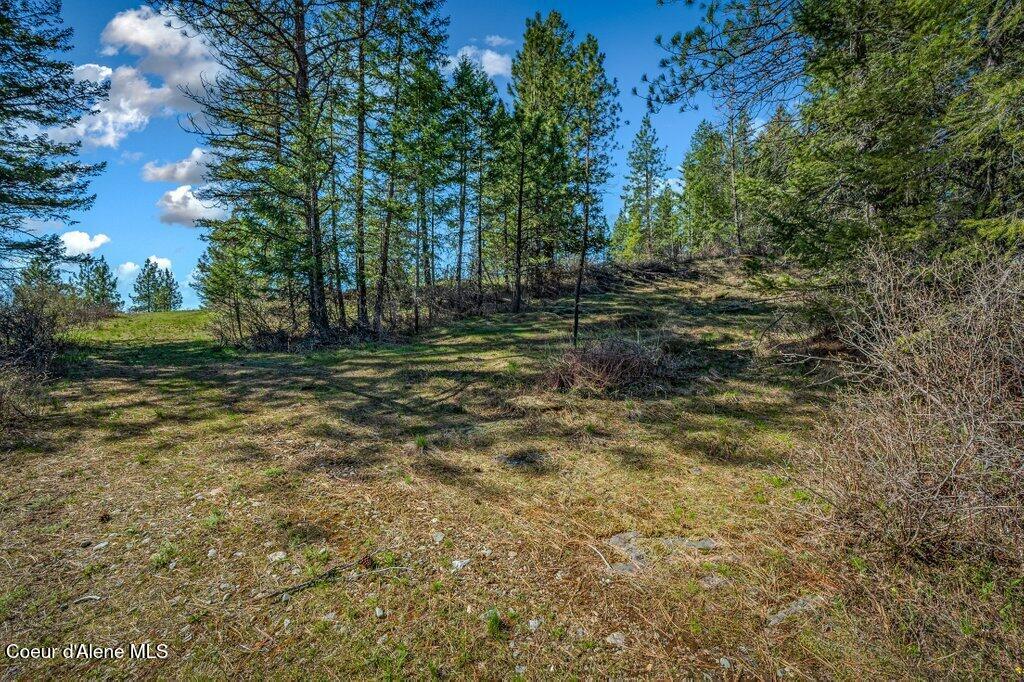 NKA Timbered Ridge Rd