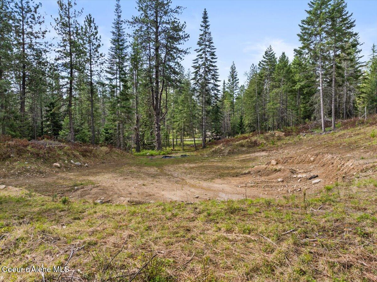 TWO 5 ACRE LOTS ON AMETHYST