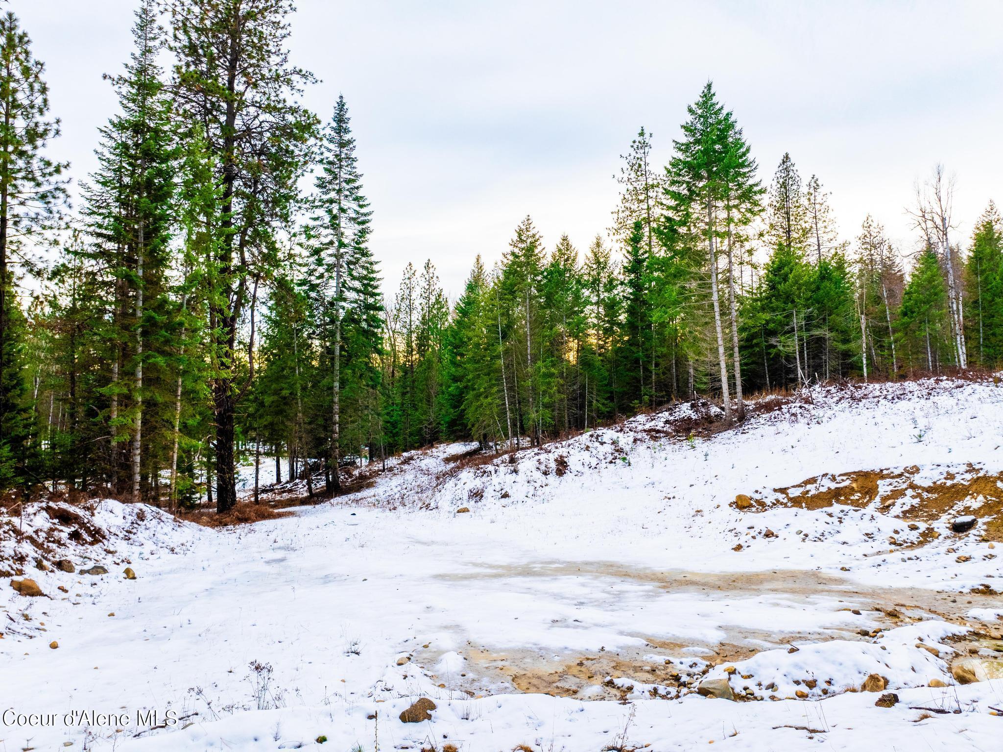 TWO 5 ACRE LOTS ON AMETHYST