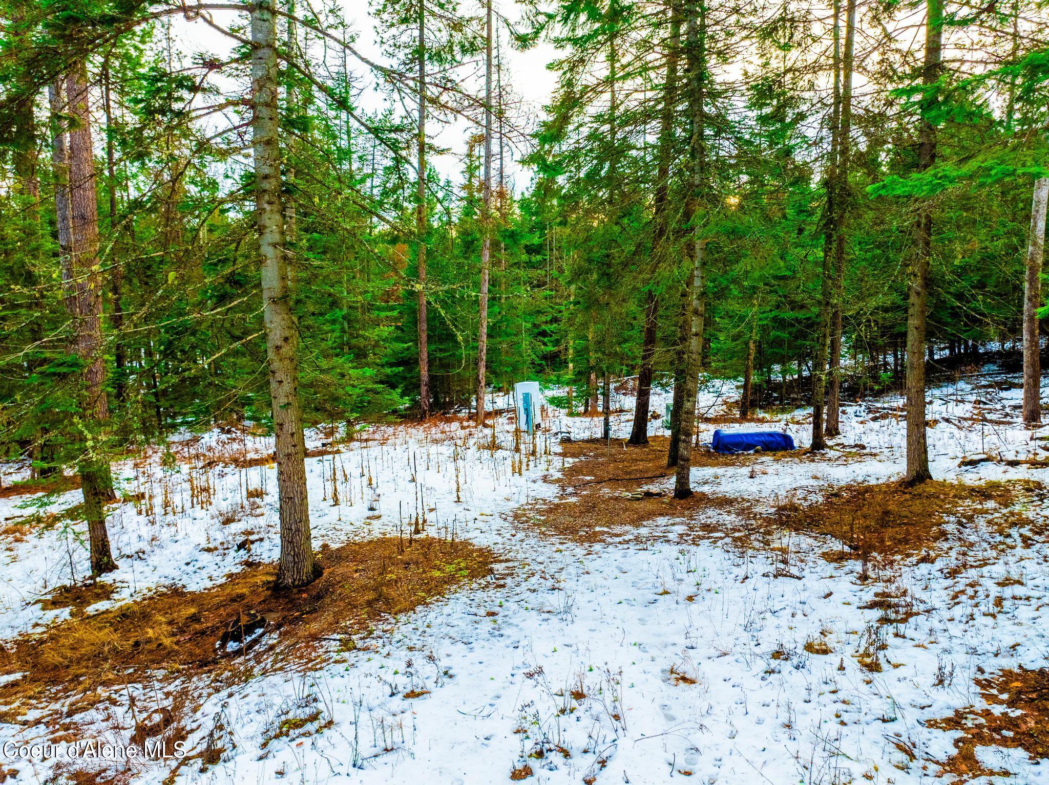 TWO 5 ACRE LOTS ON AMETHYST