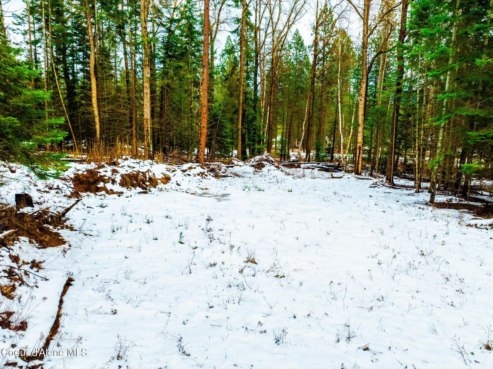TWO 5 ACRE LOTS ON AMETHYST
