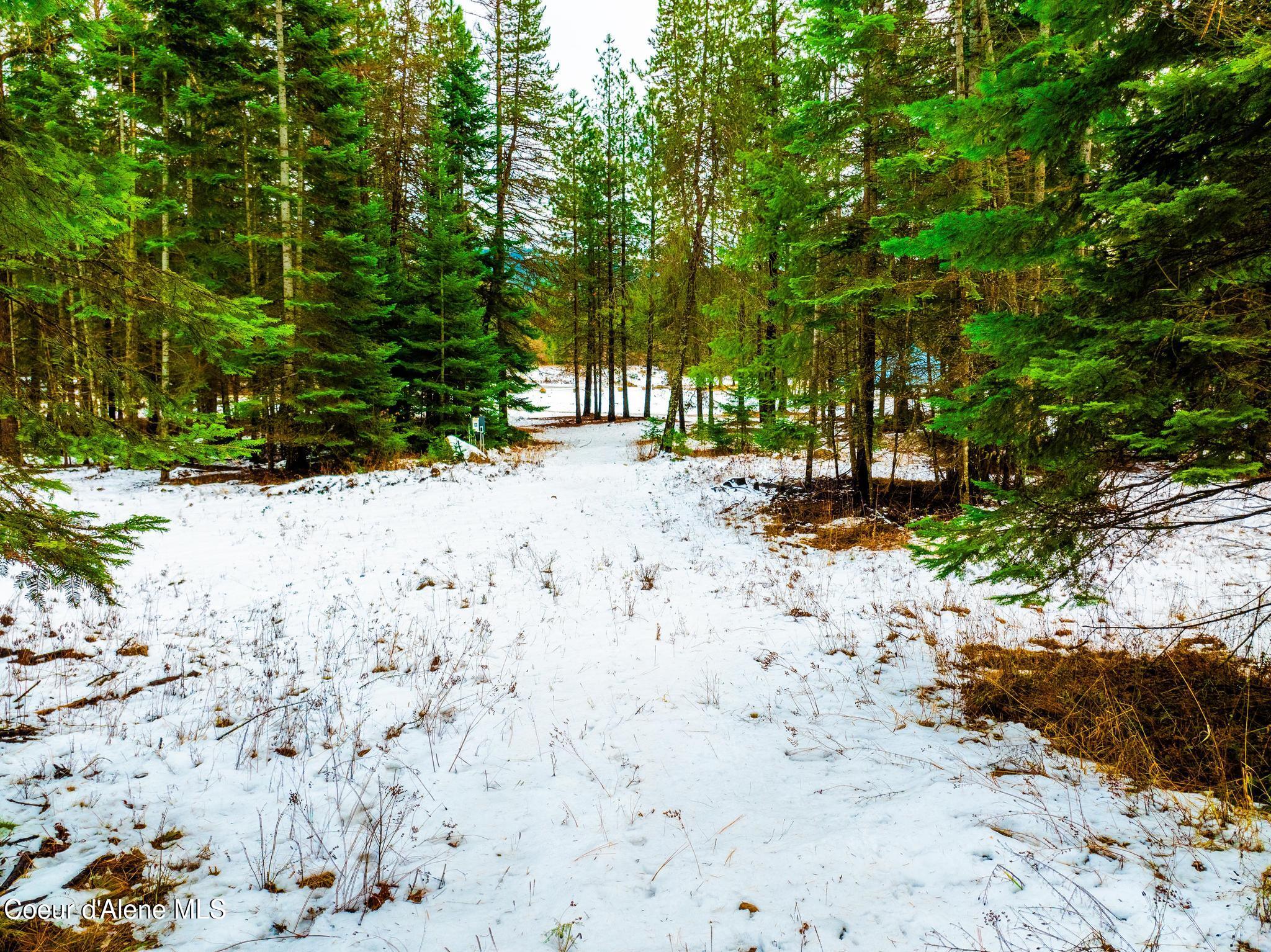 TWO 5 ACRE LOTS ON AMETHYST