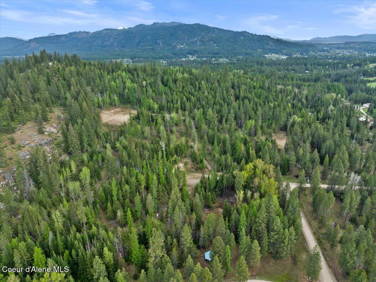 TWO 5 ACRE LOTS ON AMETHYST
