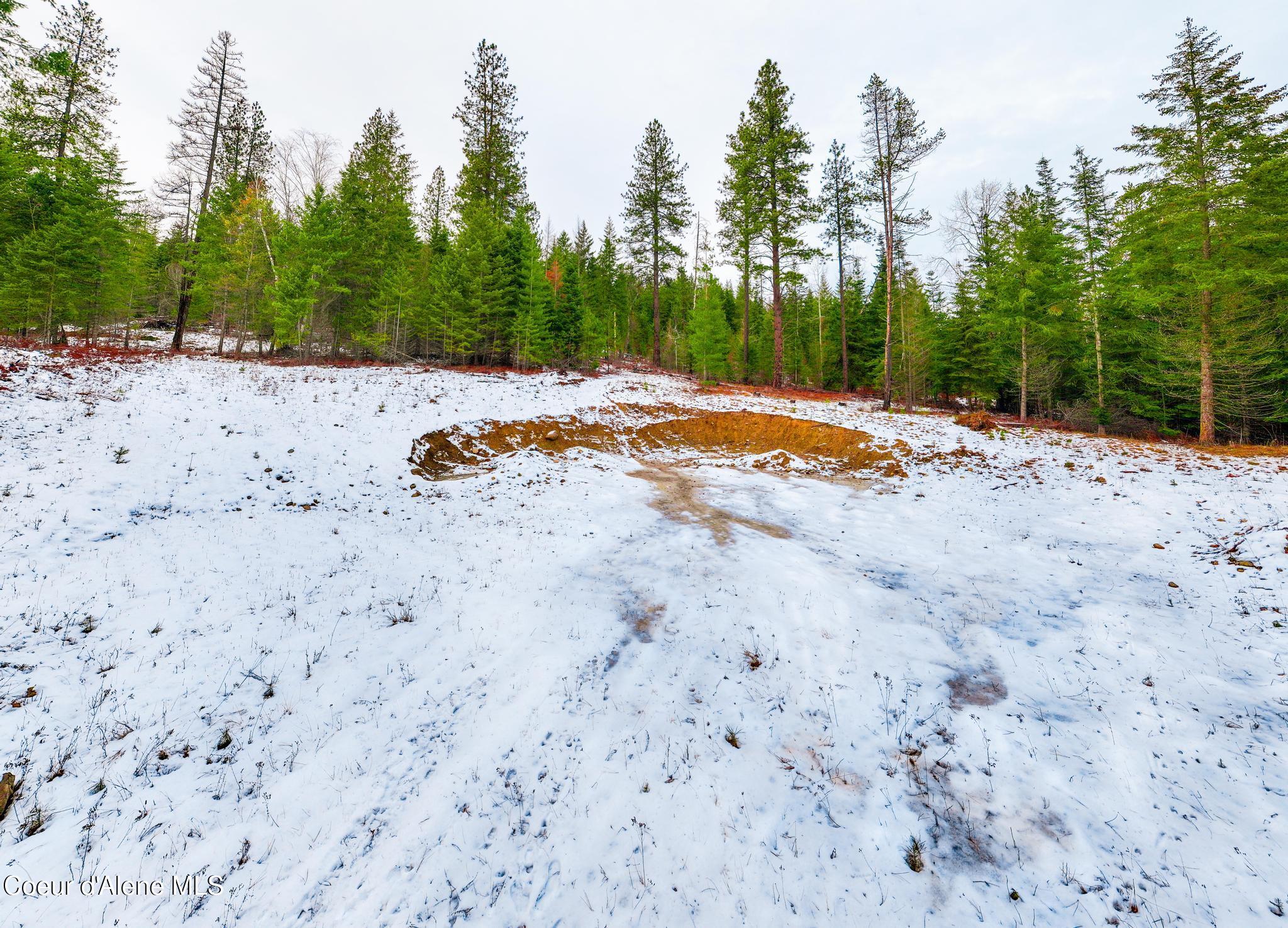 TWO 5 ACRE LOTS ON AMETHYST