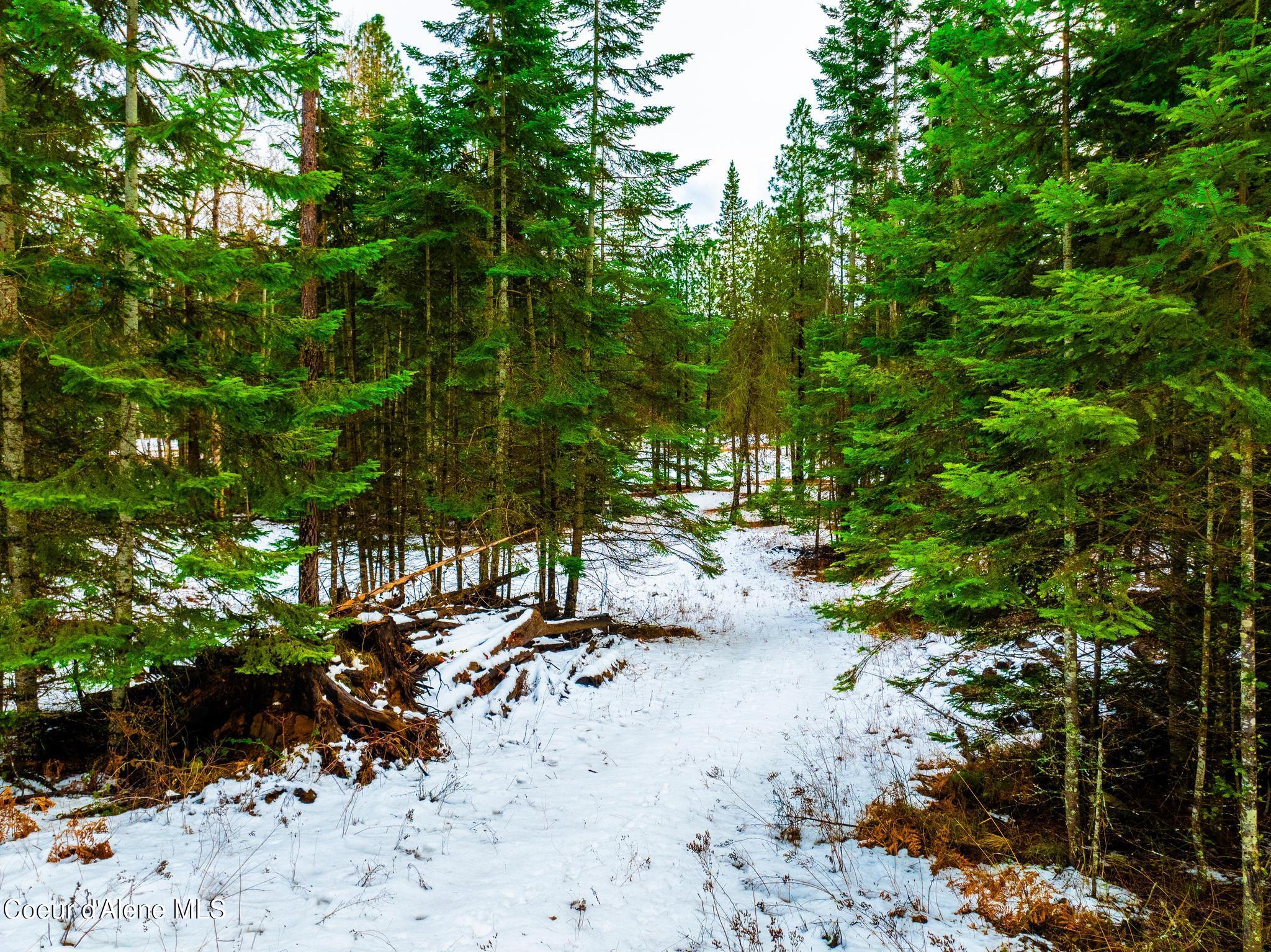 TWO 5 ACRE LOTS ON AMETHYST