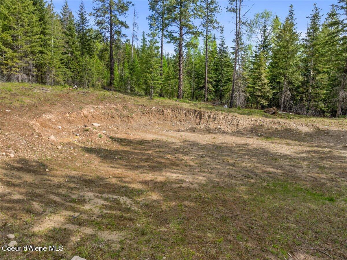 TWO 5 ACRE LOTS ON AMETHYST