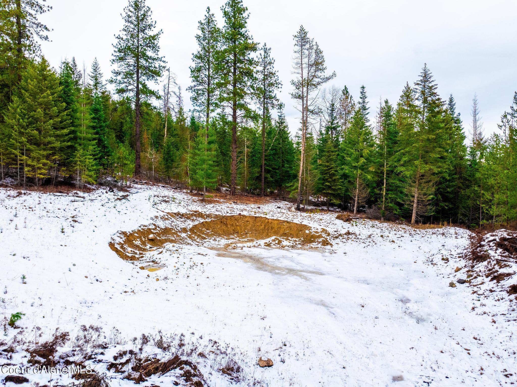 TWO 5 ACRE LOTS ON AMETHYST