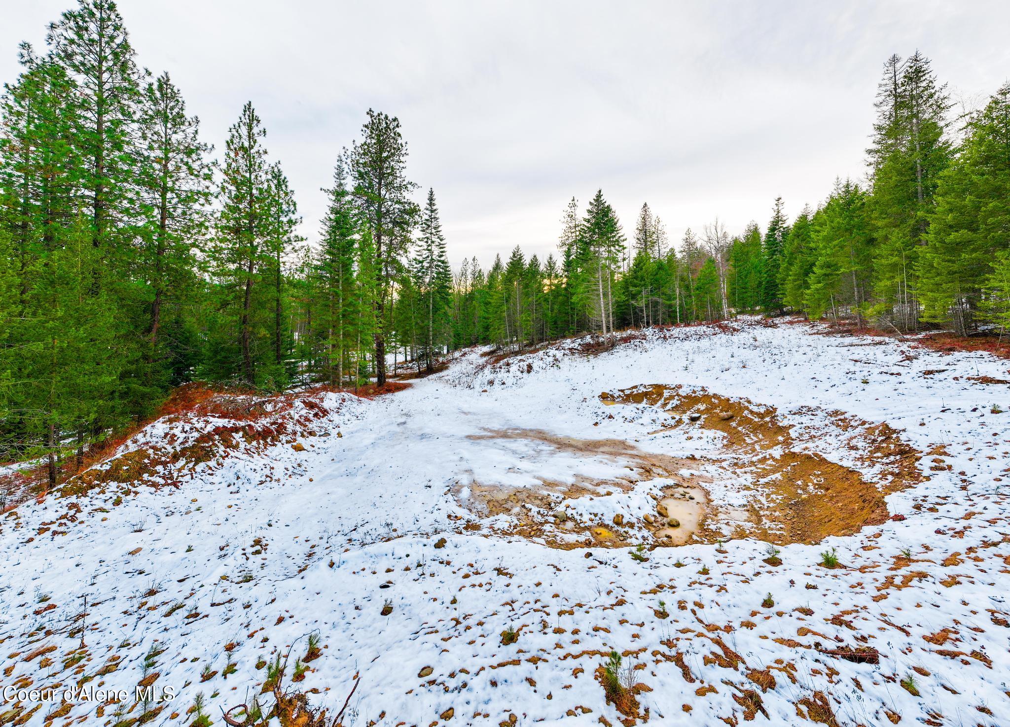 TWO 5 ACRE LOTS ON AMETHYST