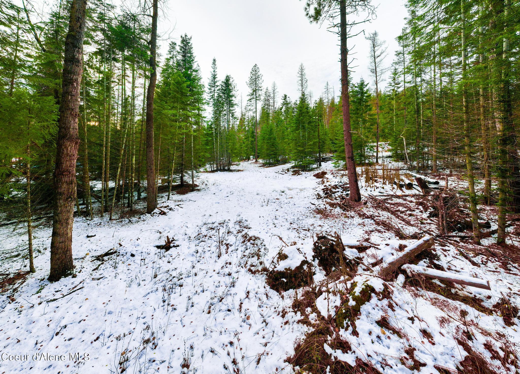 TWO 5 ACRE LOTS ON AMETHYST