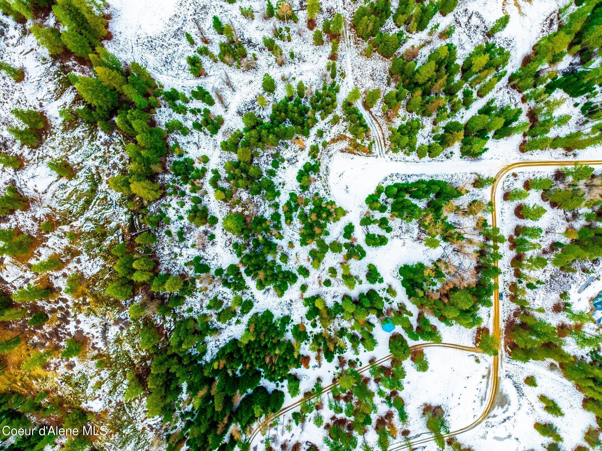 TWO 5 ACRE LOTS ON AMETHYST