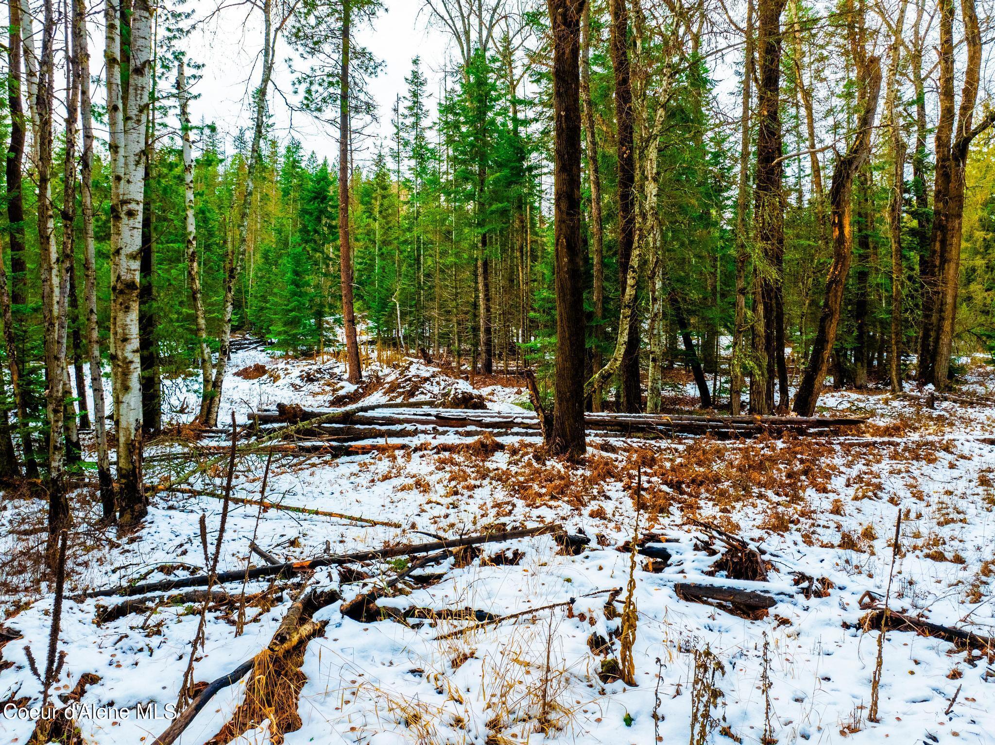 TWO 5 ACRE LOTS ON AMETHYST