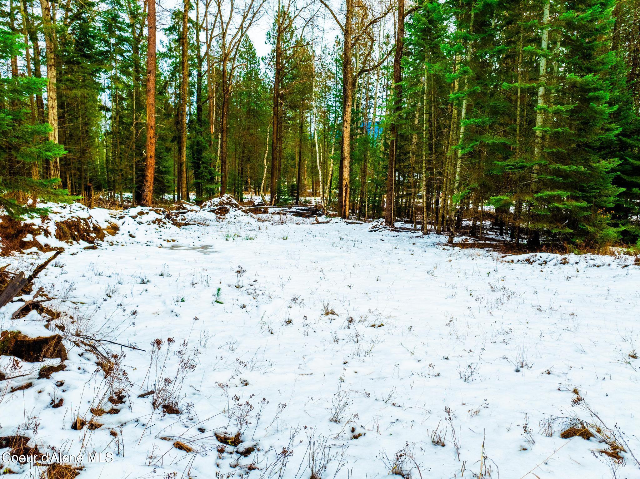 TWO 5 ACRE LOTS ON AMETHYST