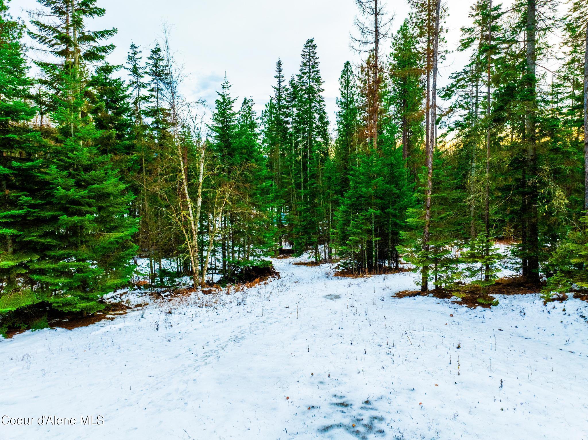 TWO 5 ACRE LOTS ON AMETHYST