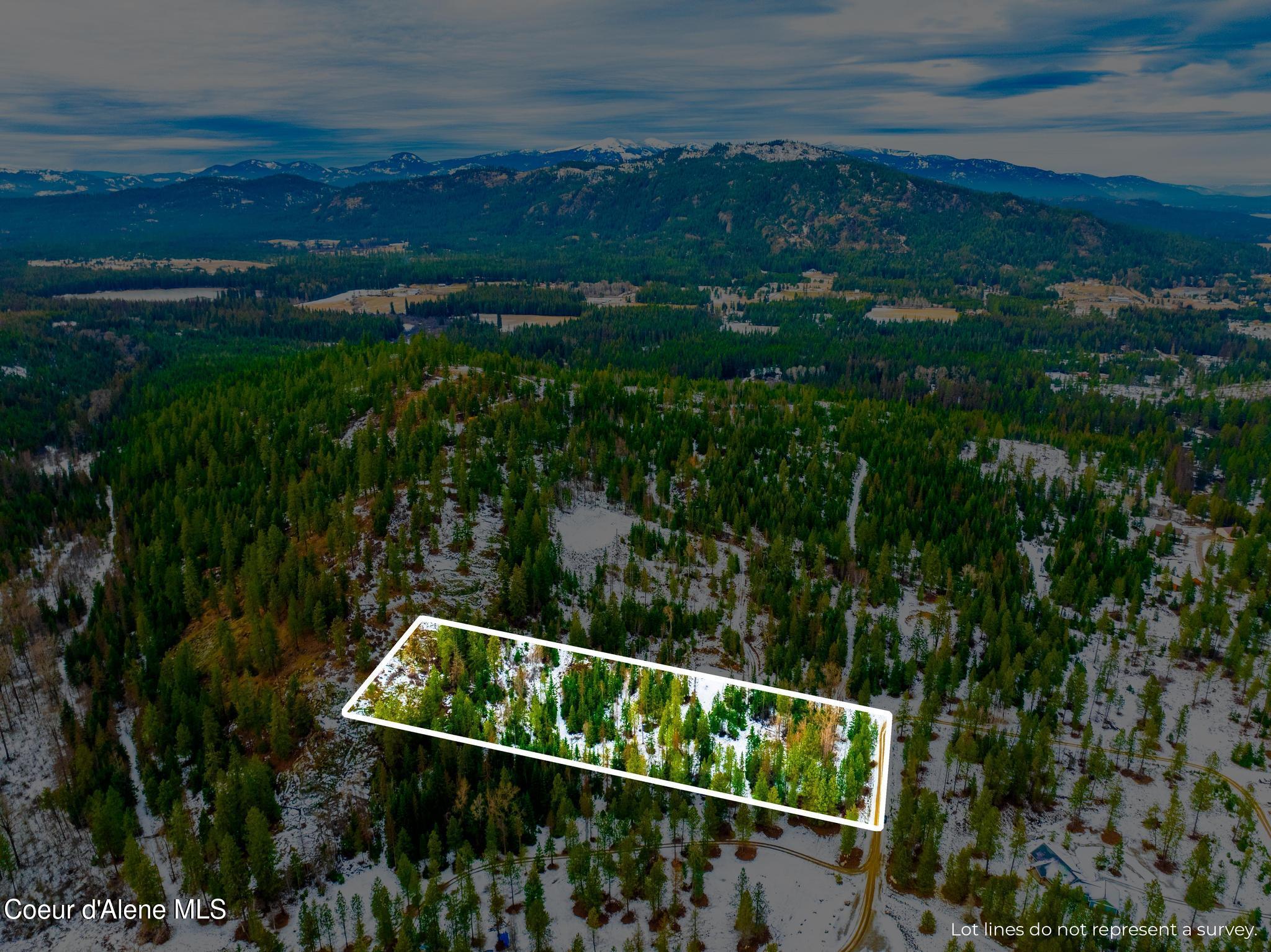TWO 5 ACRE LOTS ON AMETHYST