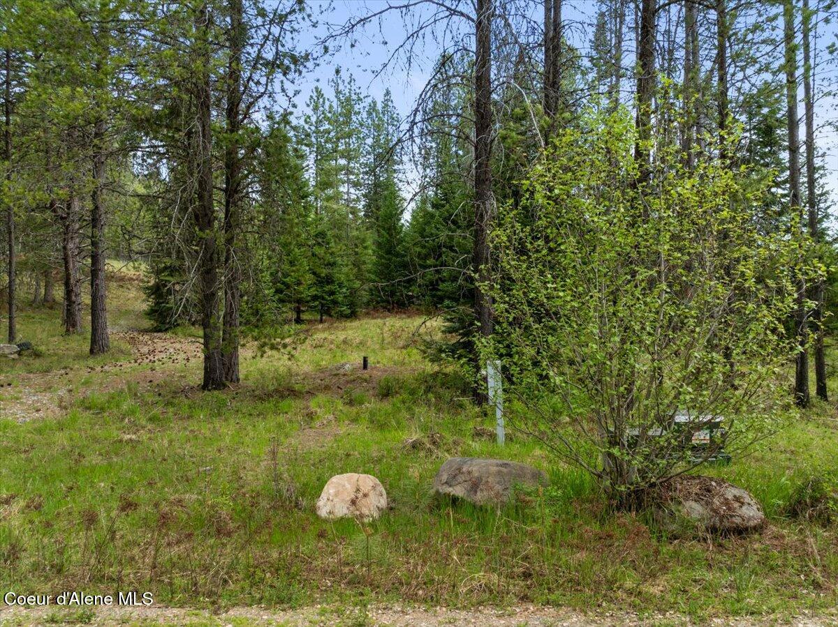 TWO 5 ACRE LOTS ON AMETHYST