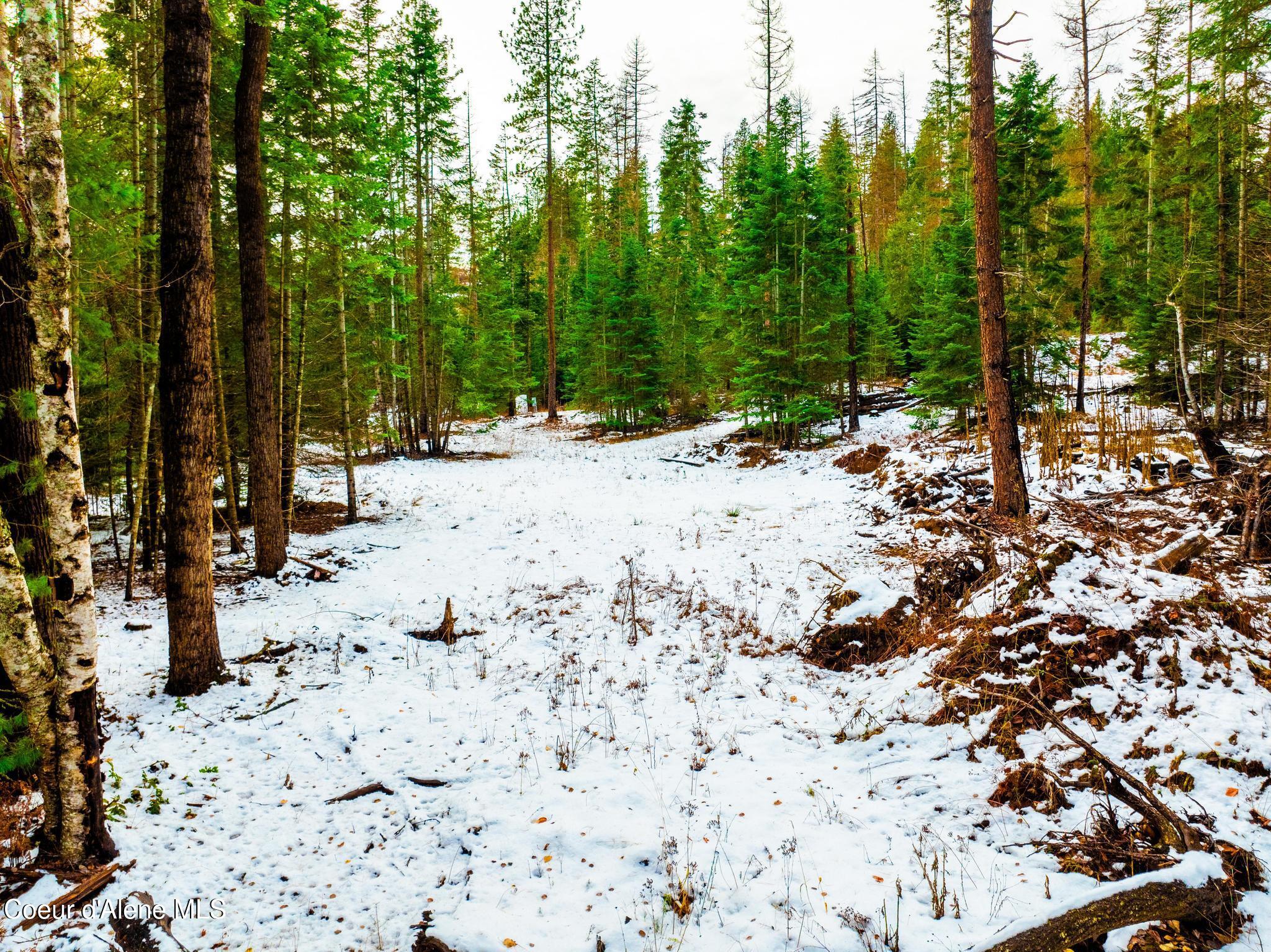 TWO 5 ACRE LOTS ON AMETHYST