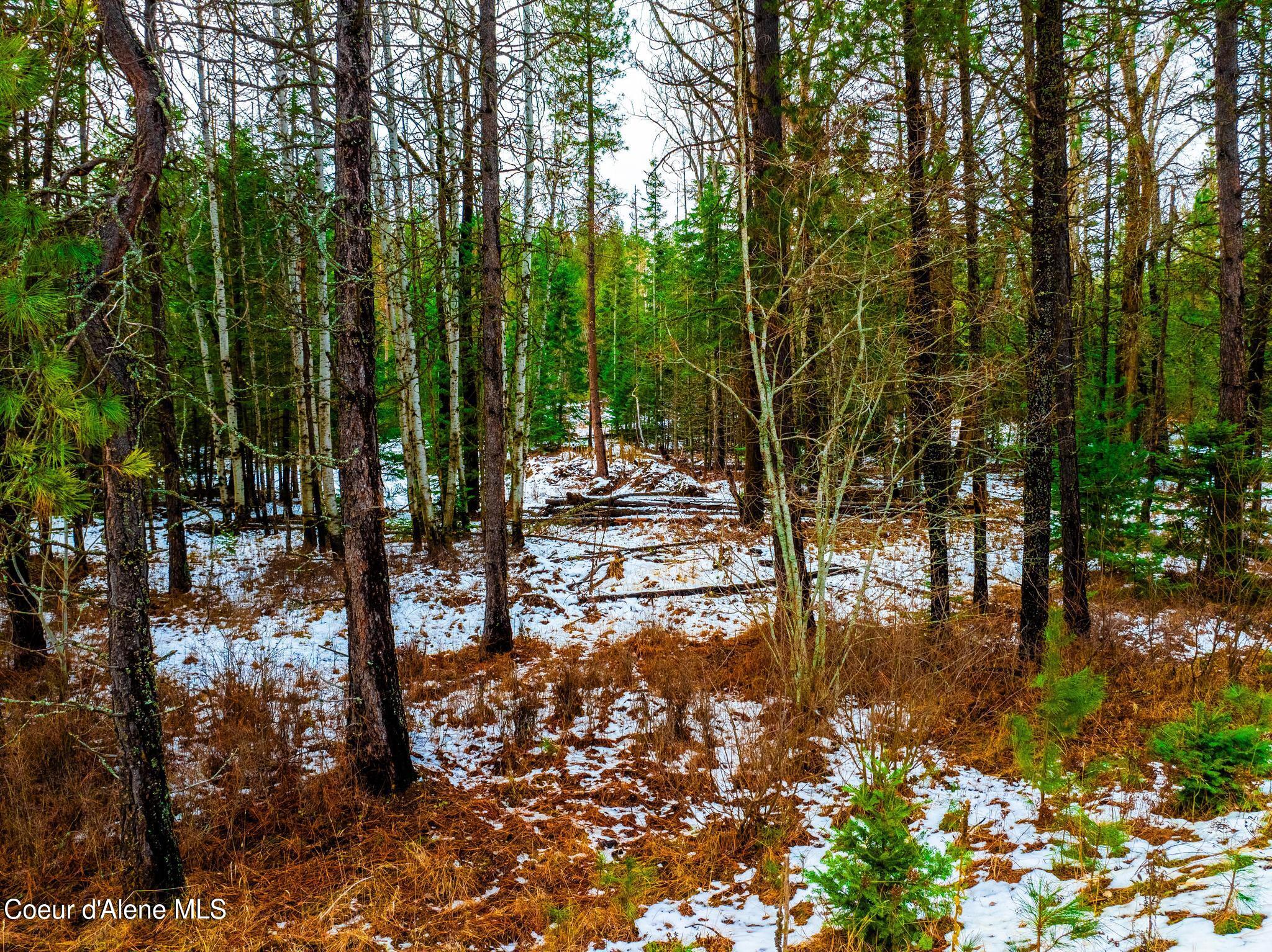 TWO 5 ACRE LOTS ON AMETHYST