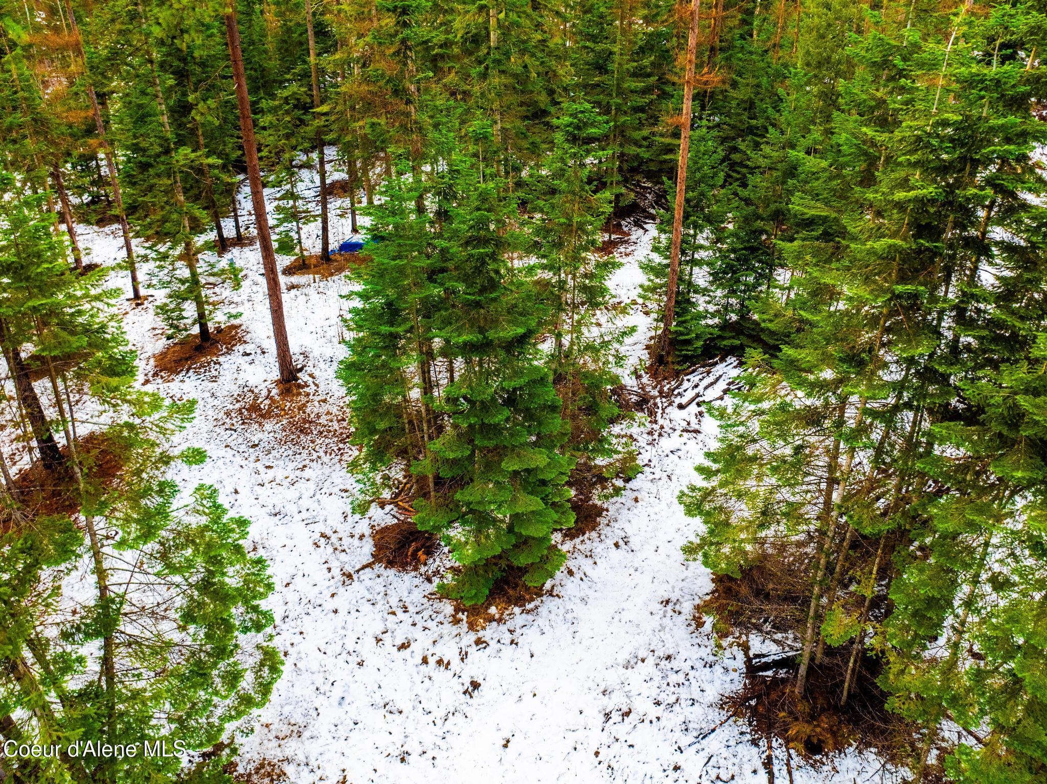 TWO 5 ACRE LOTS ON AMETHYST