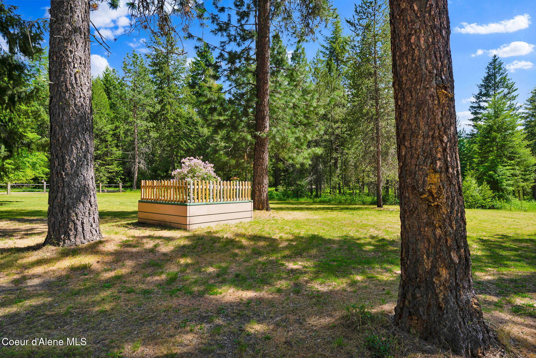 24805 N Cedar Mountain RD