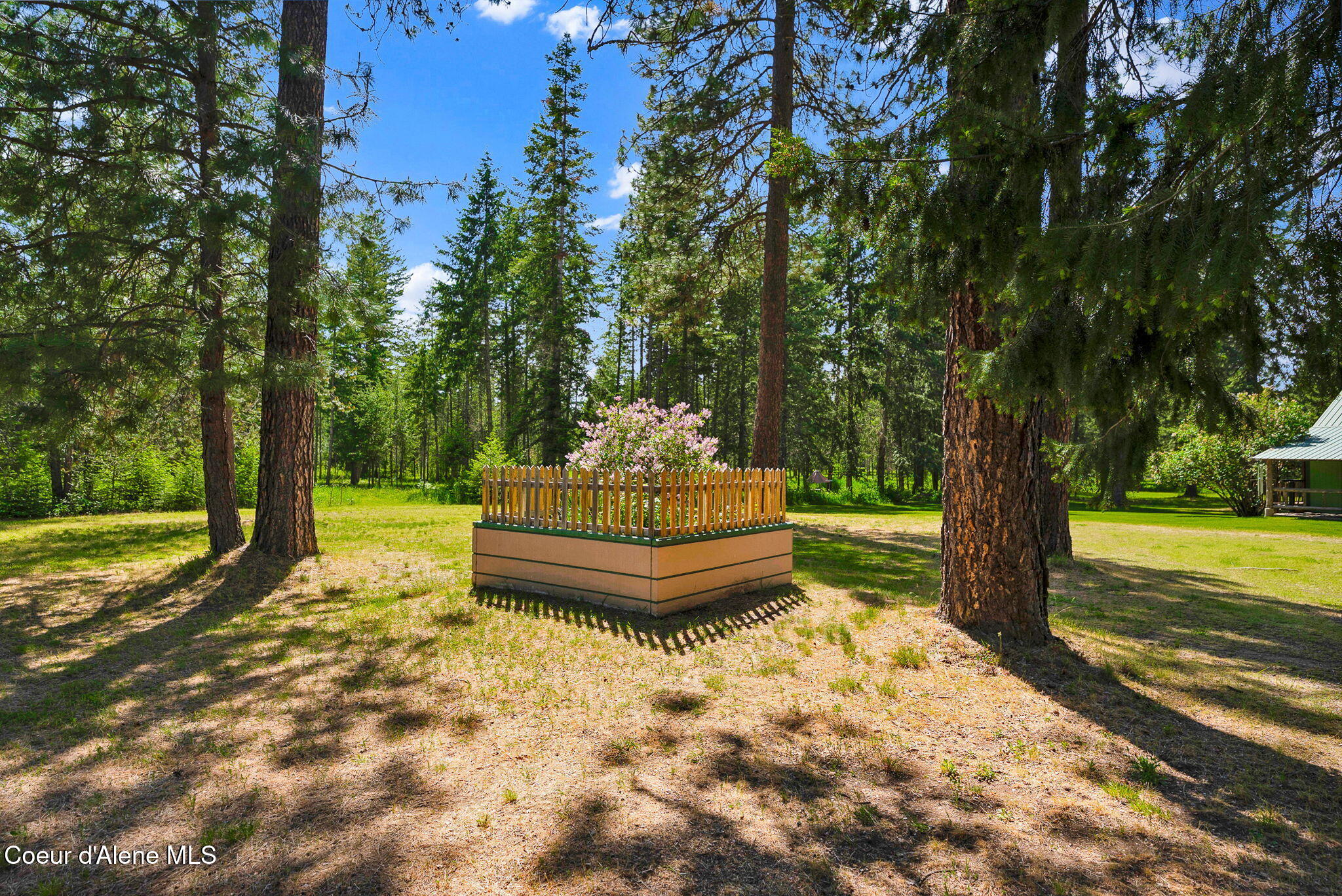 24805 N Cedar Mountain RD