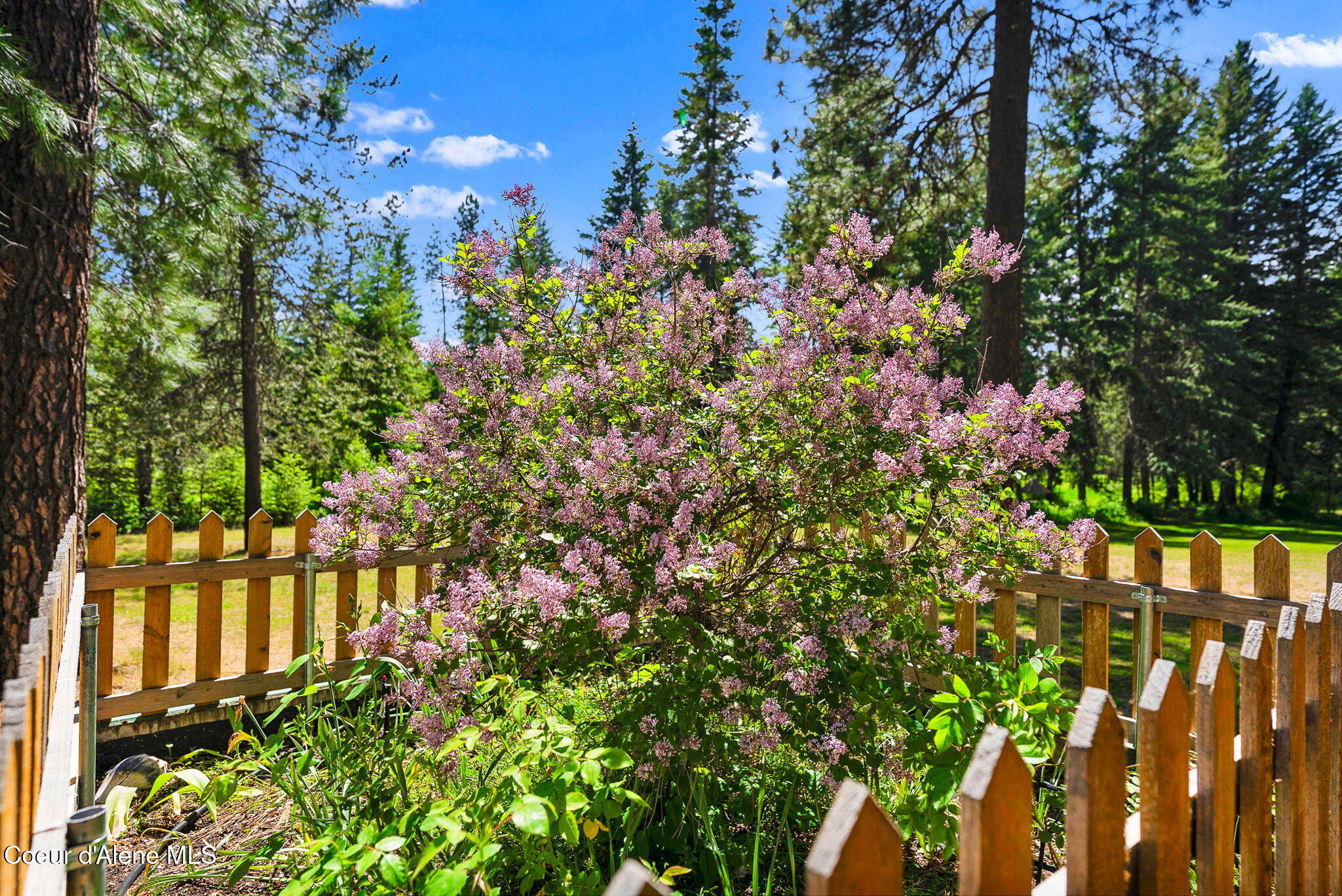 24805 N Cedar Mountain RD
