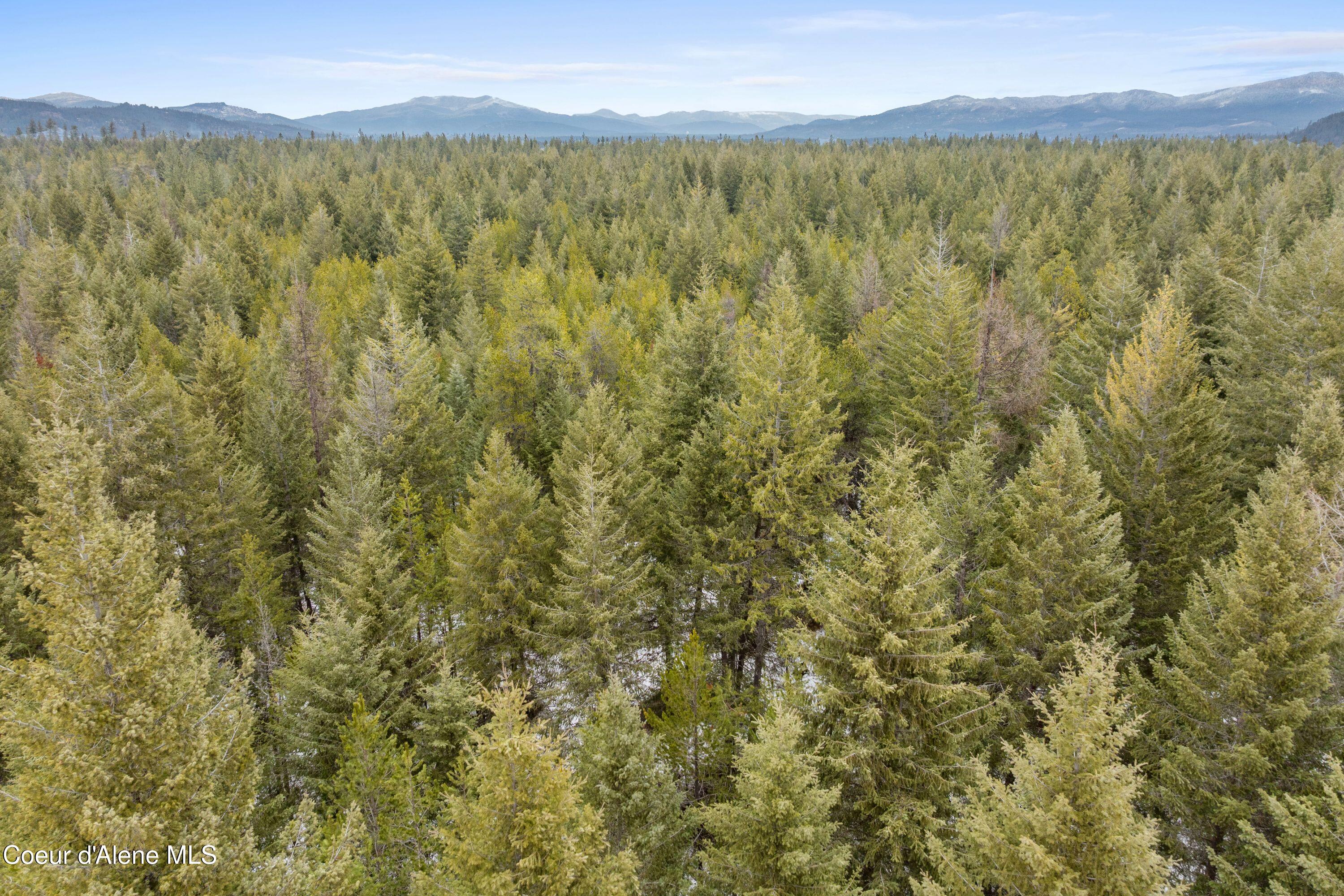 Lot 4 Blk2 Songbird WAY