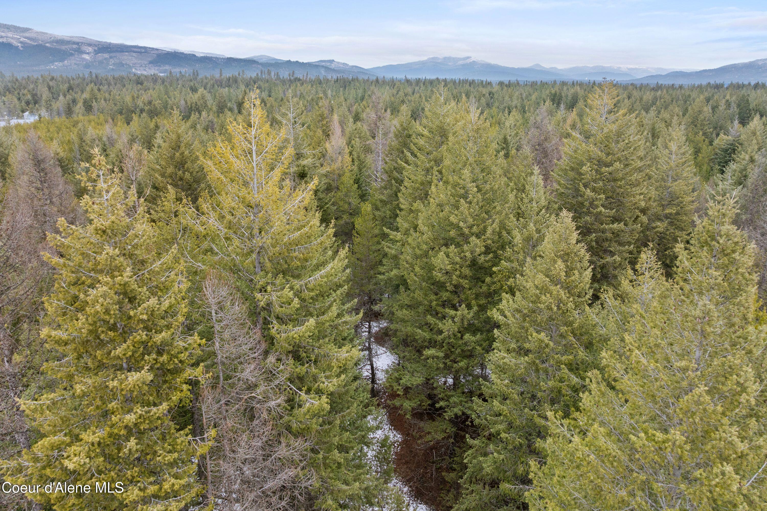 Lot 4 Blk2 Songbird WAY