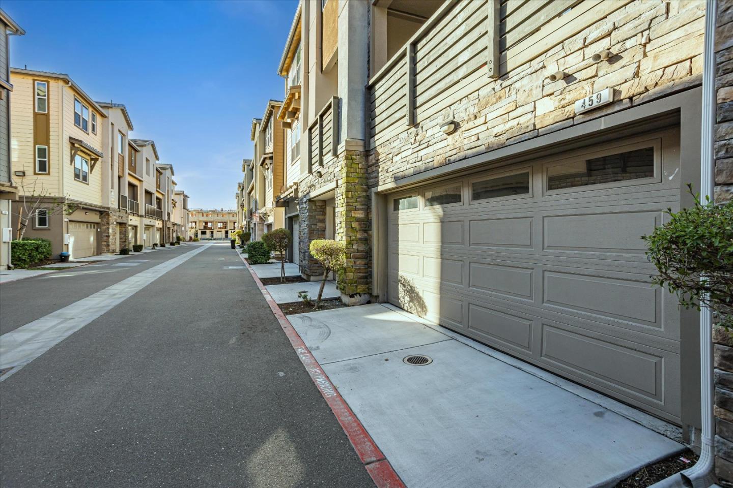 459 Snap Dragon ST