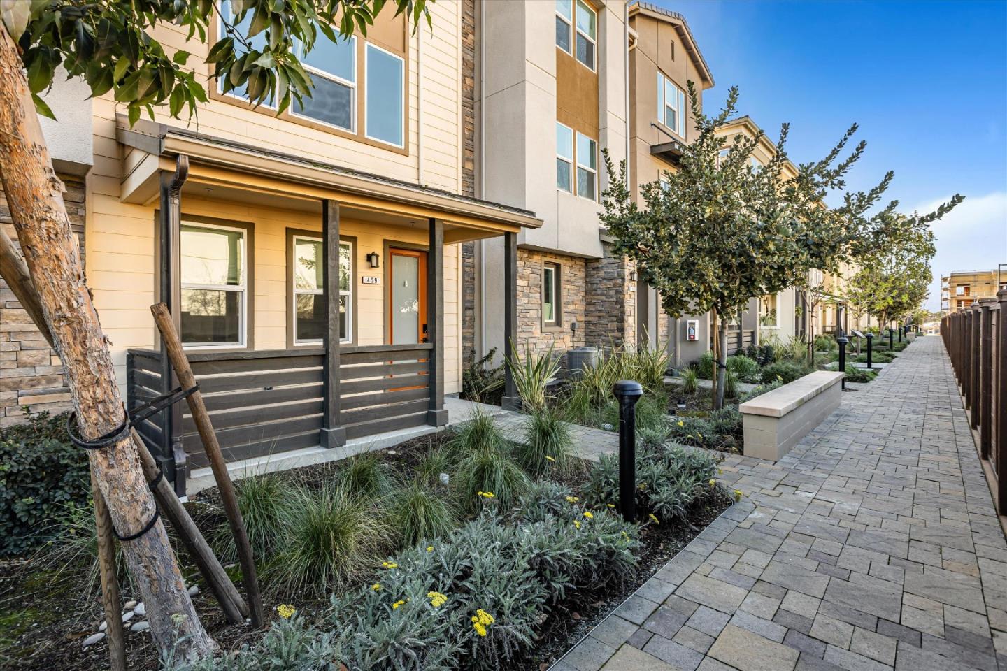 459 Snap Dragon ST