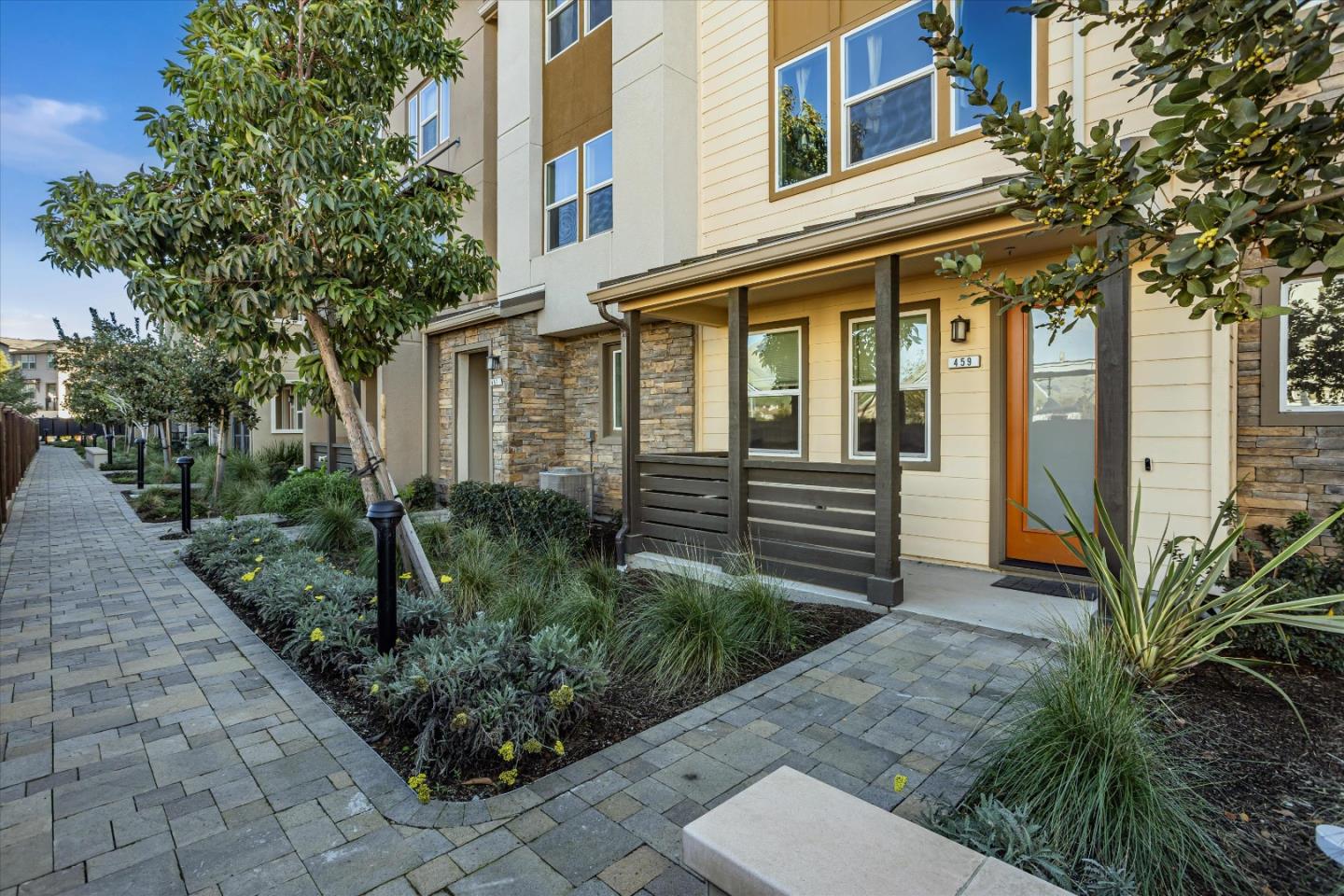 459 Snap Dragon ST