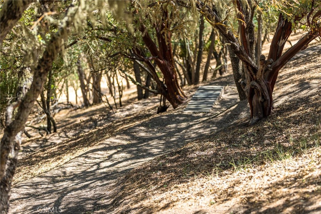 416 Calle Alto Street