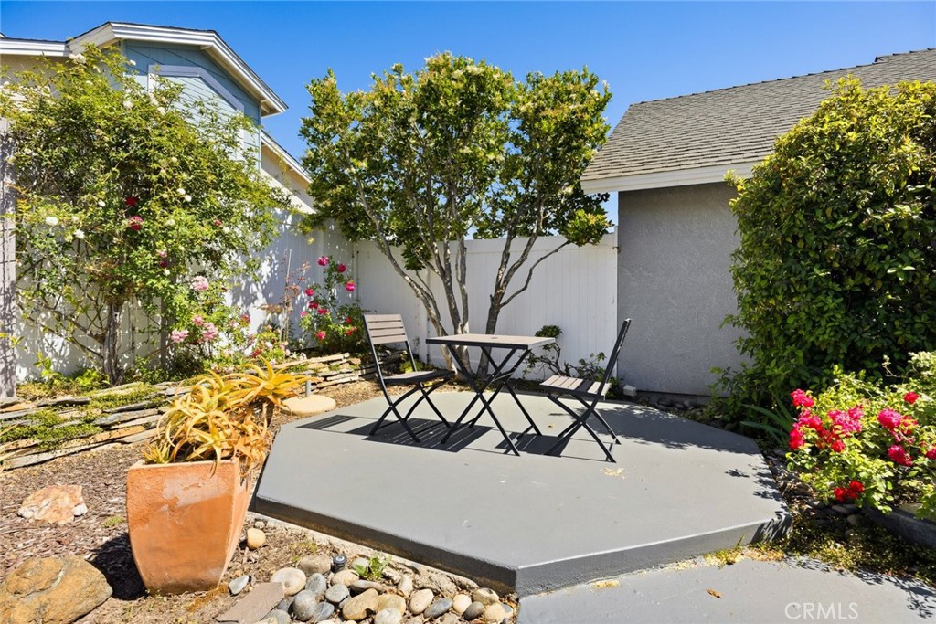 4144 Poinsettia