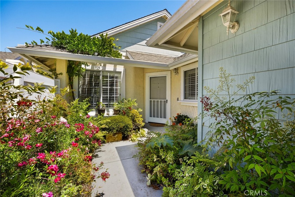 4144 Poinsettia