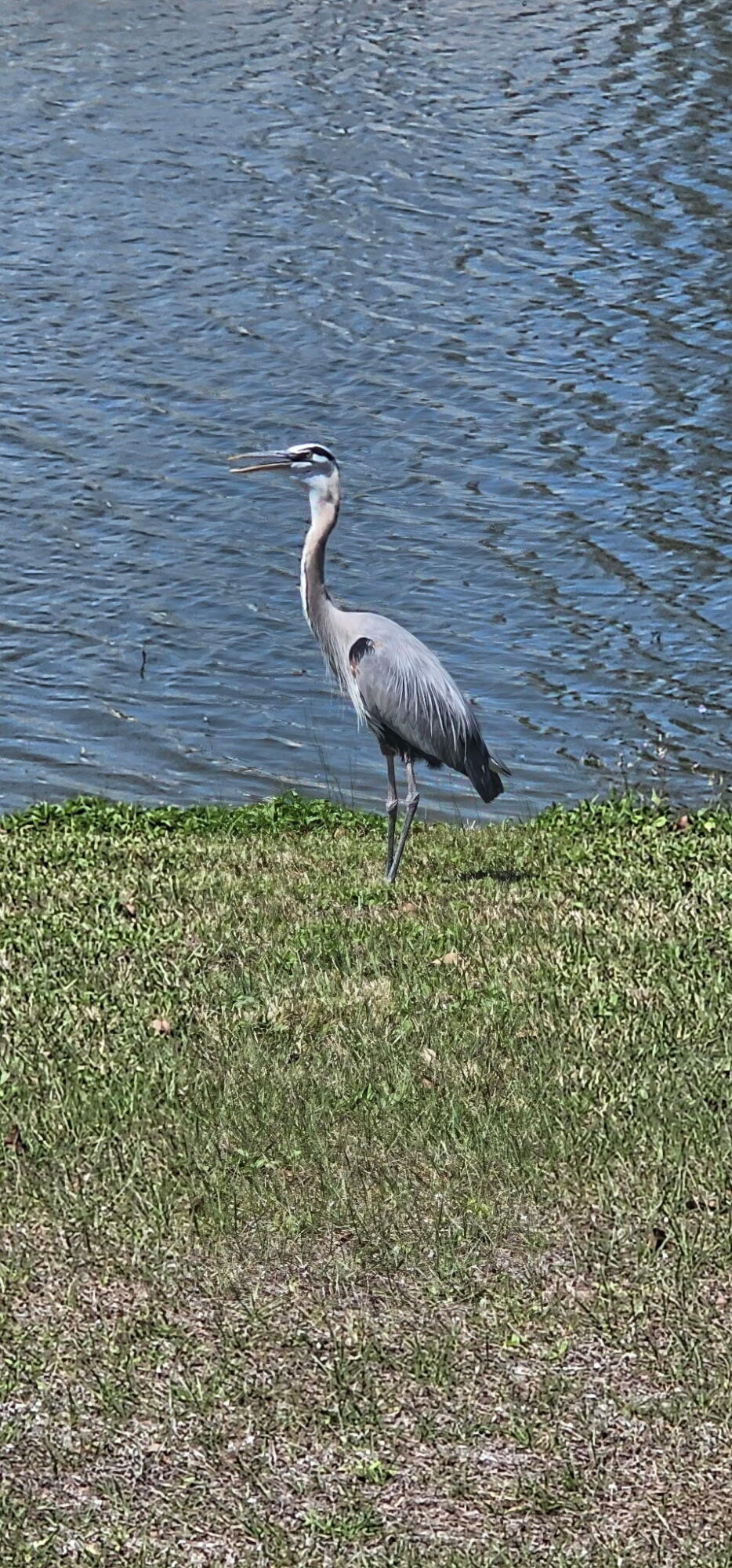 11 Tortuga, Port St. Lucie