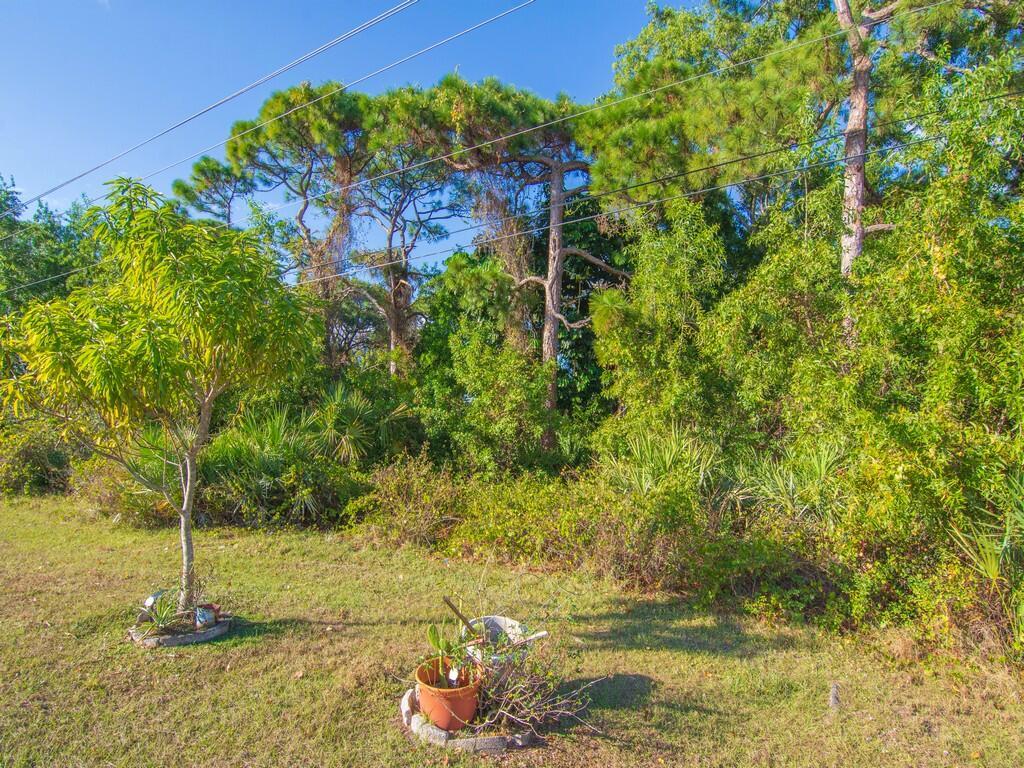 8 Novedades, Port St. Lucie