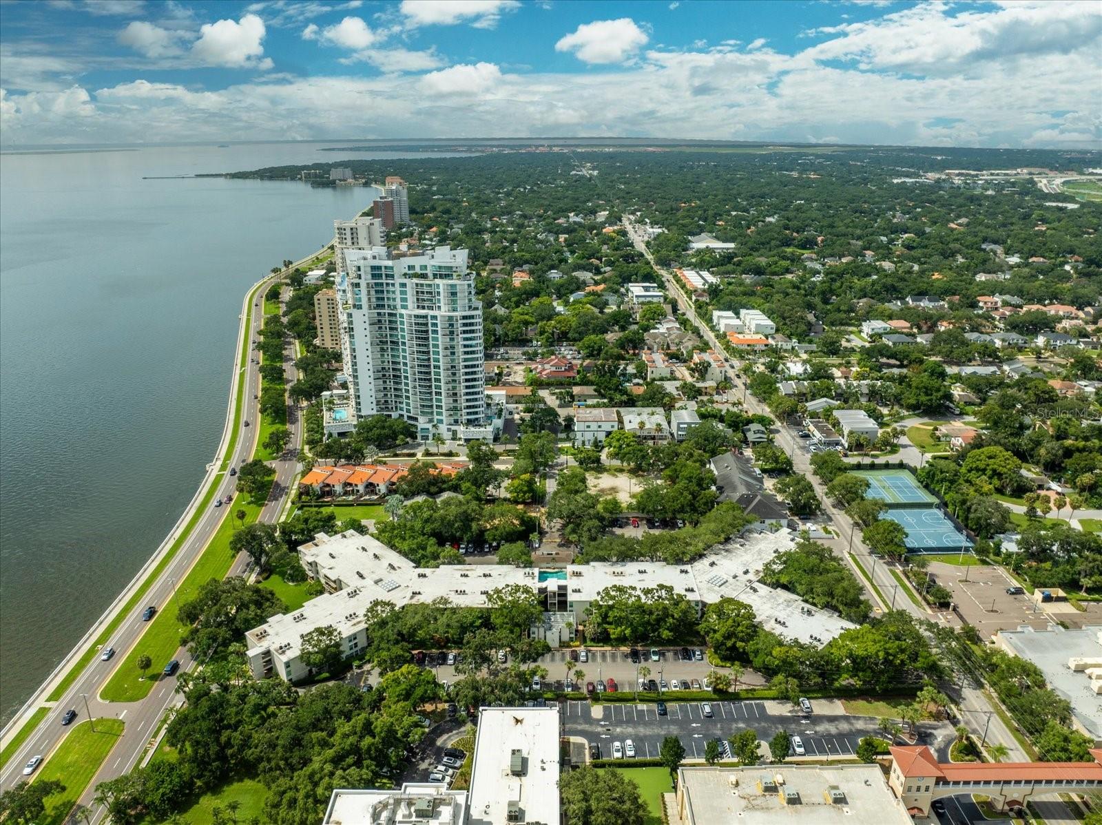 3325 BAYSHORE BLVD #D13