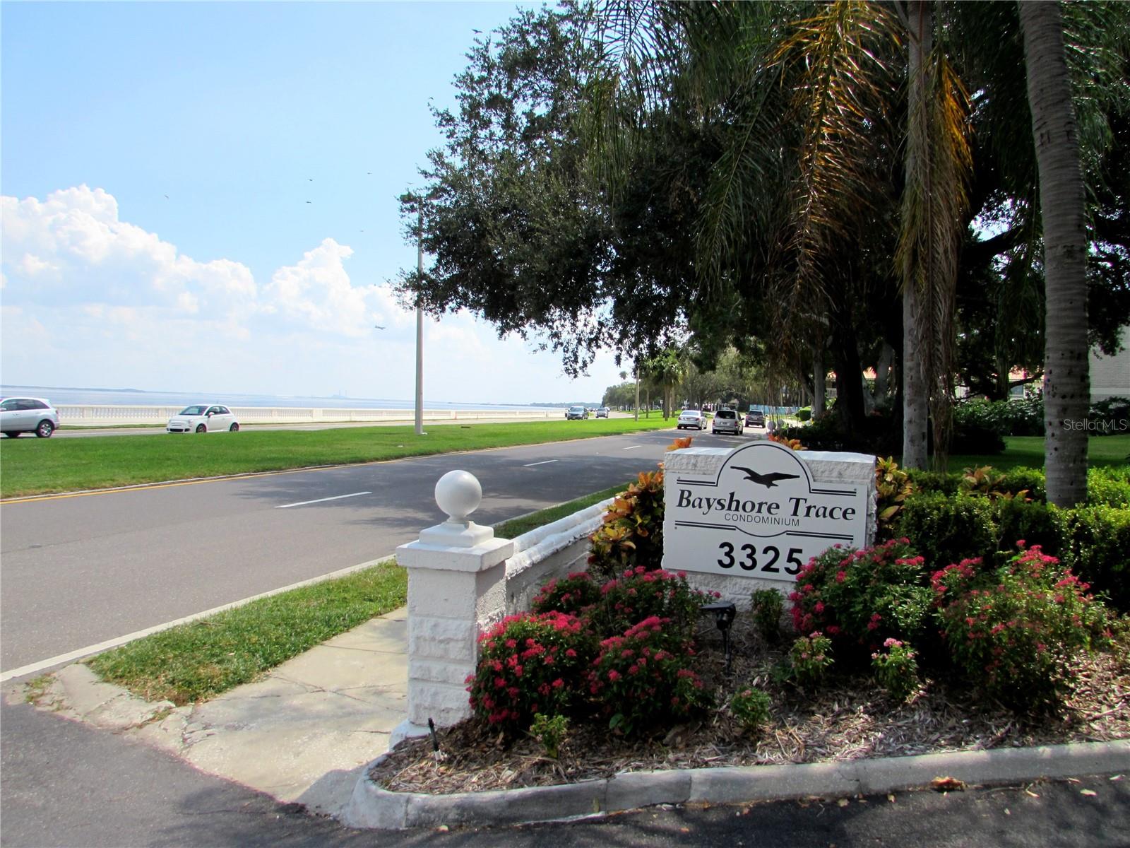 3325 BAYSHORE BLVD #D13