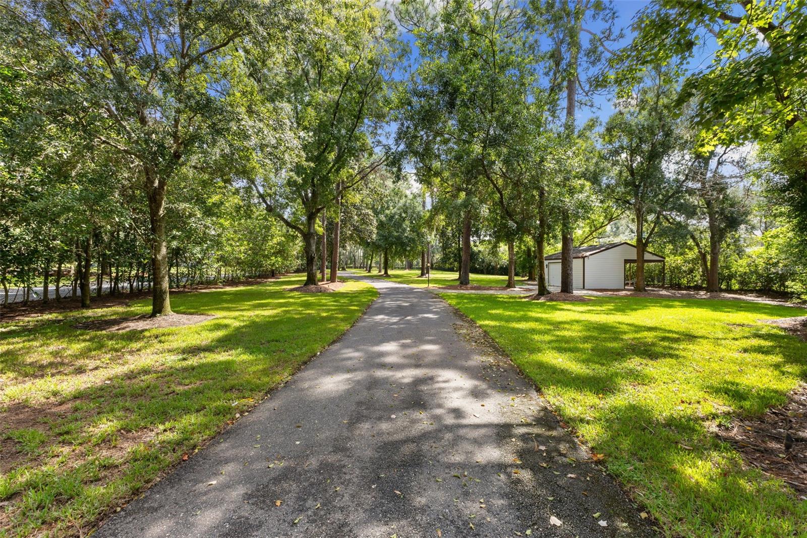 18304 WAYNE RD