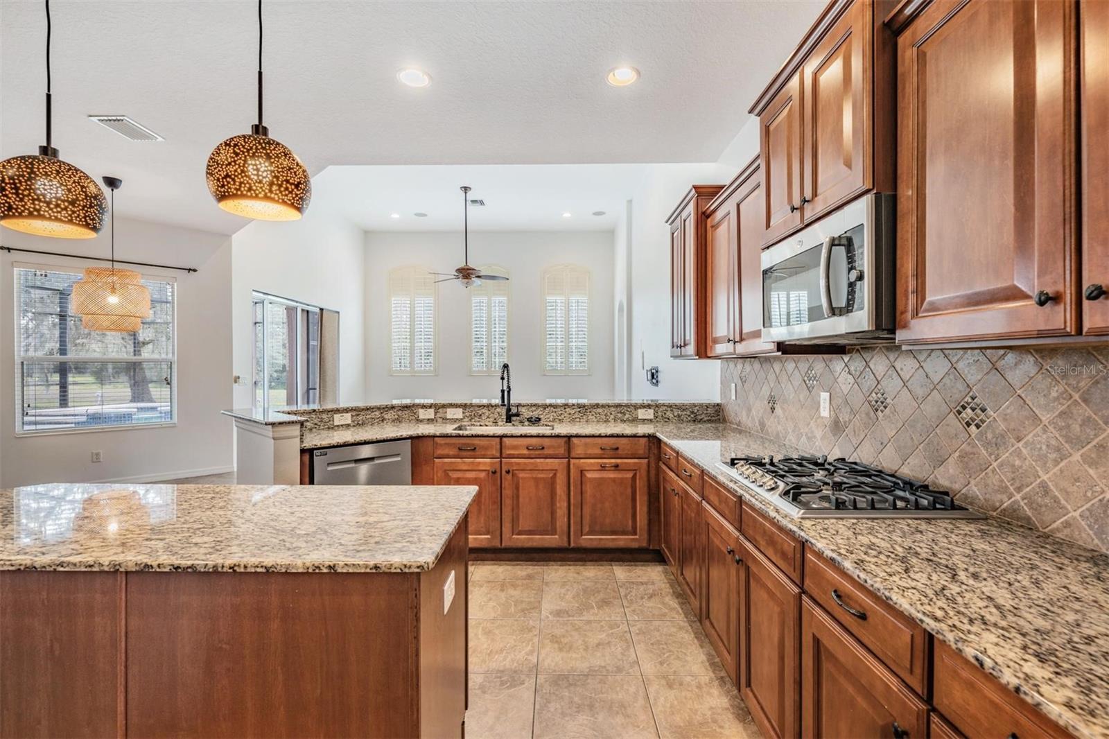 19230 CLIMBING ASTER DR