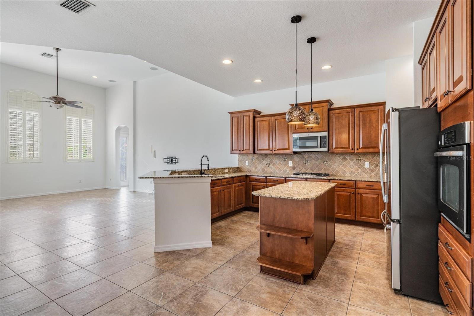 19230 CLIMBING ASTER DR