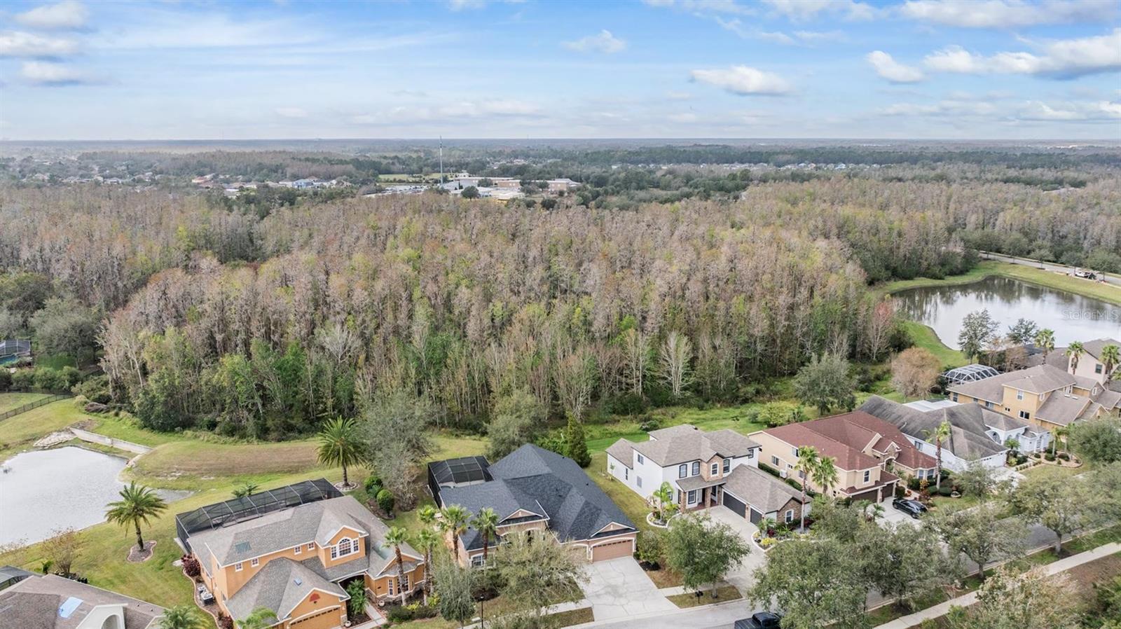 19230 CLIMBING ASTER DR