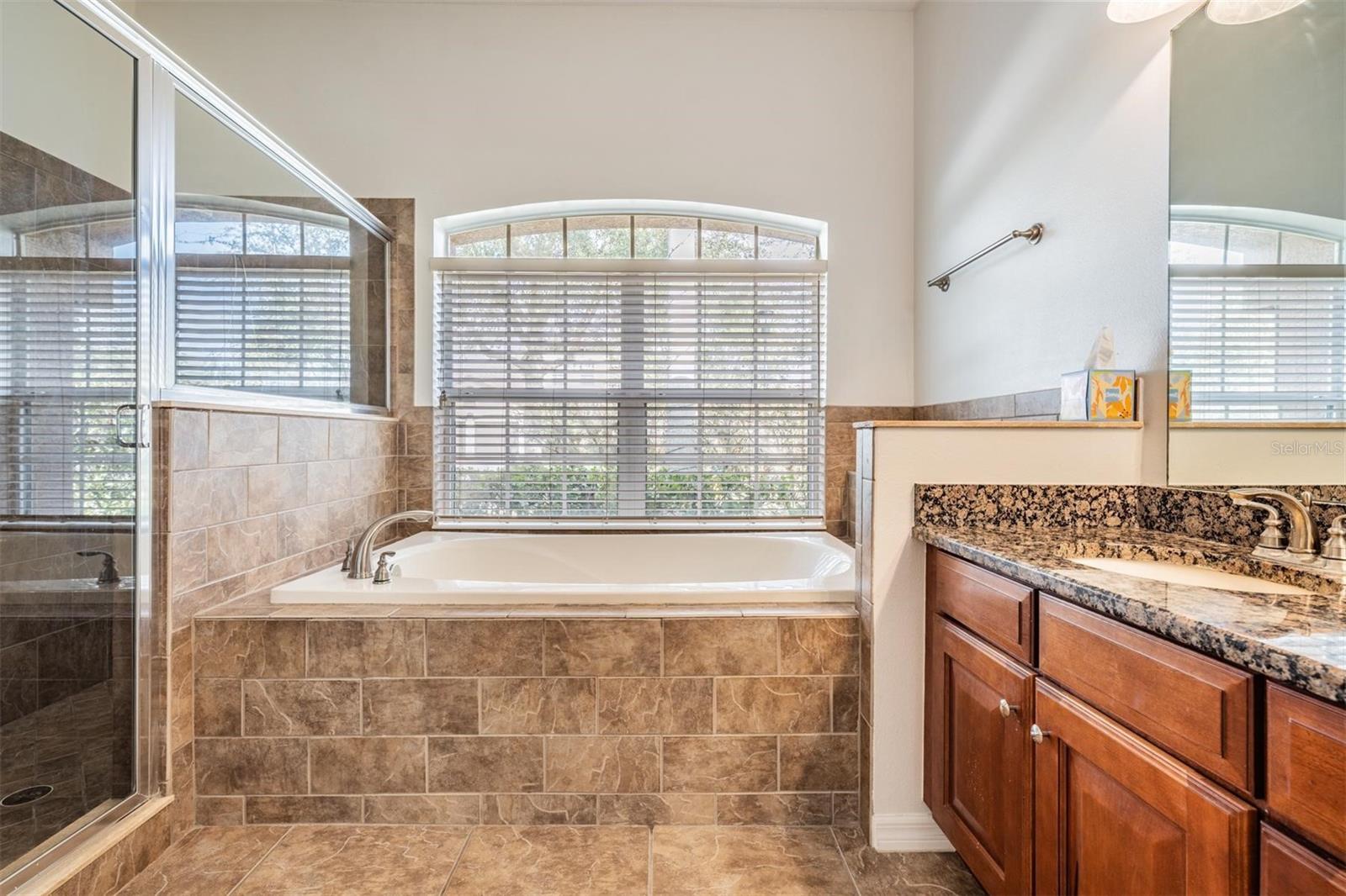 19230 CLIMBING ASTER DR