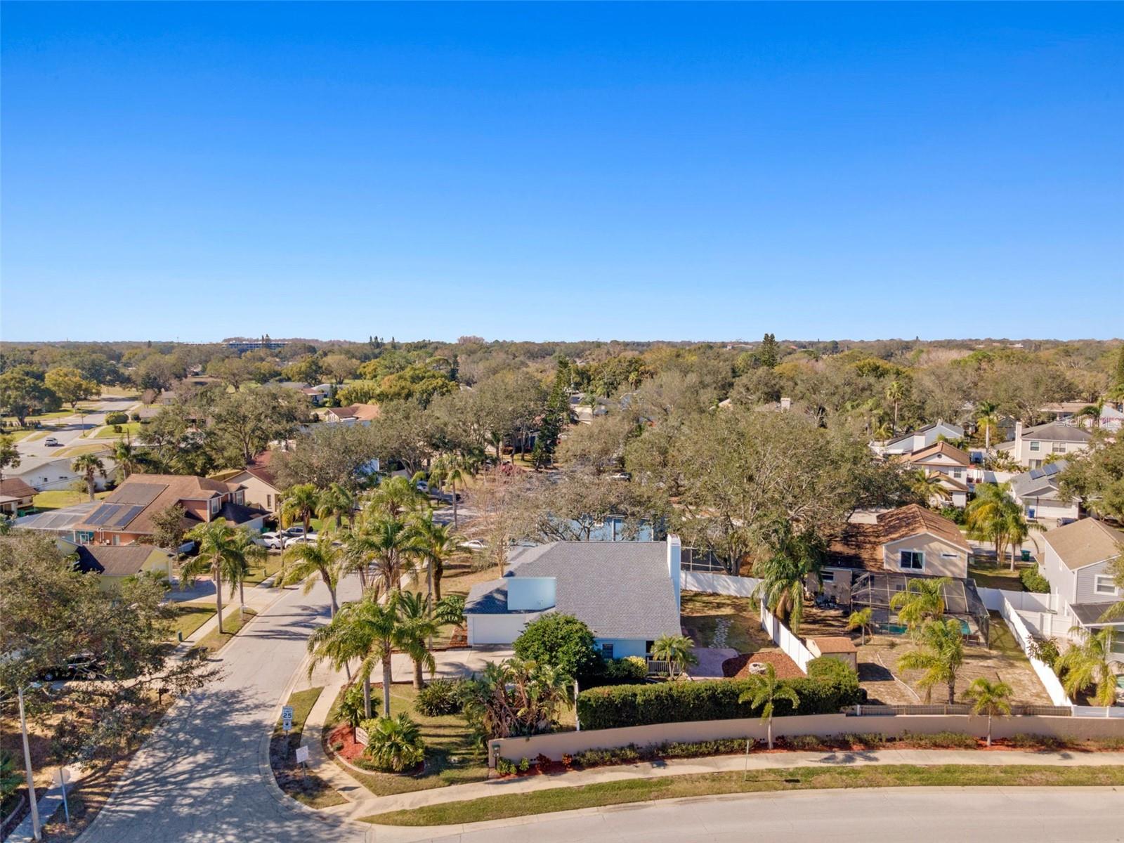 2993 SHANNON CIR