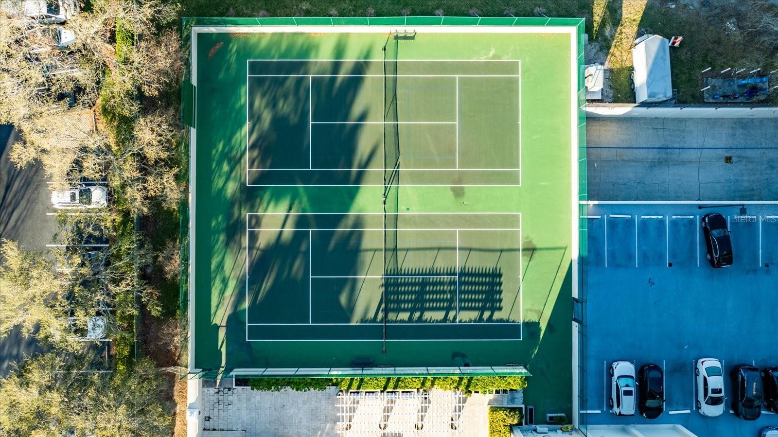 3301 BAYSHORE BLVD #704D