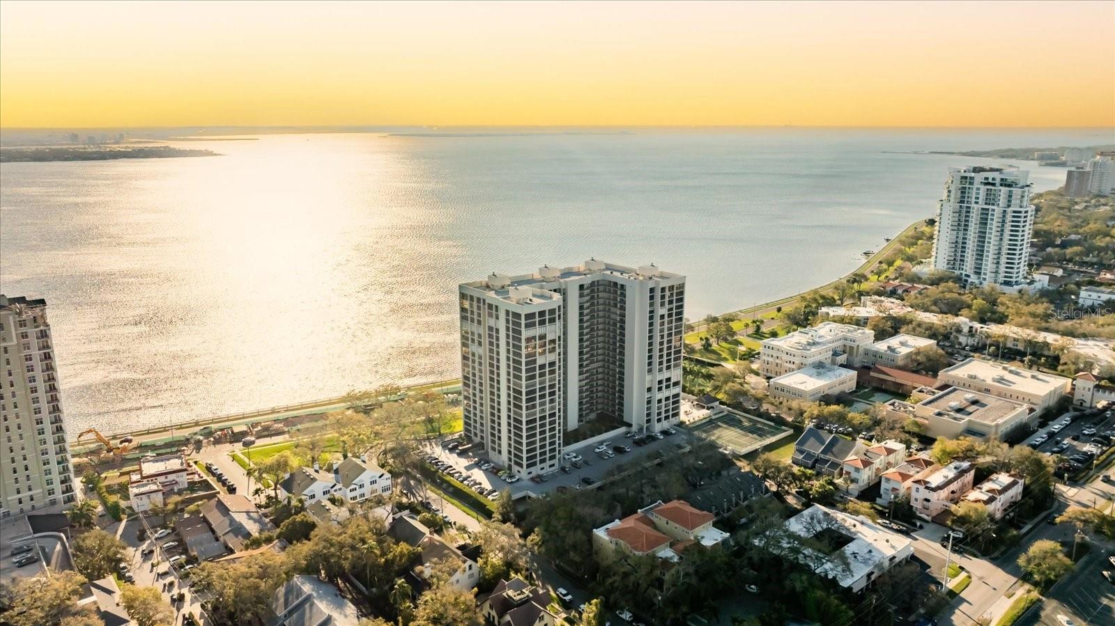 3301 BAYSHORE BLVD #704D