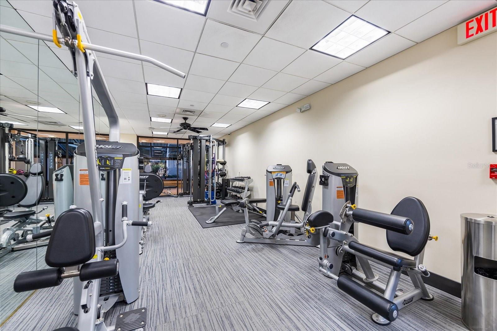 3301 BAYSHORE BLVD #704D