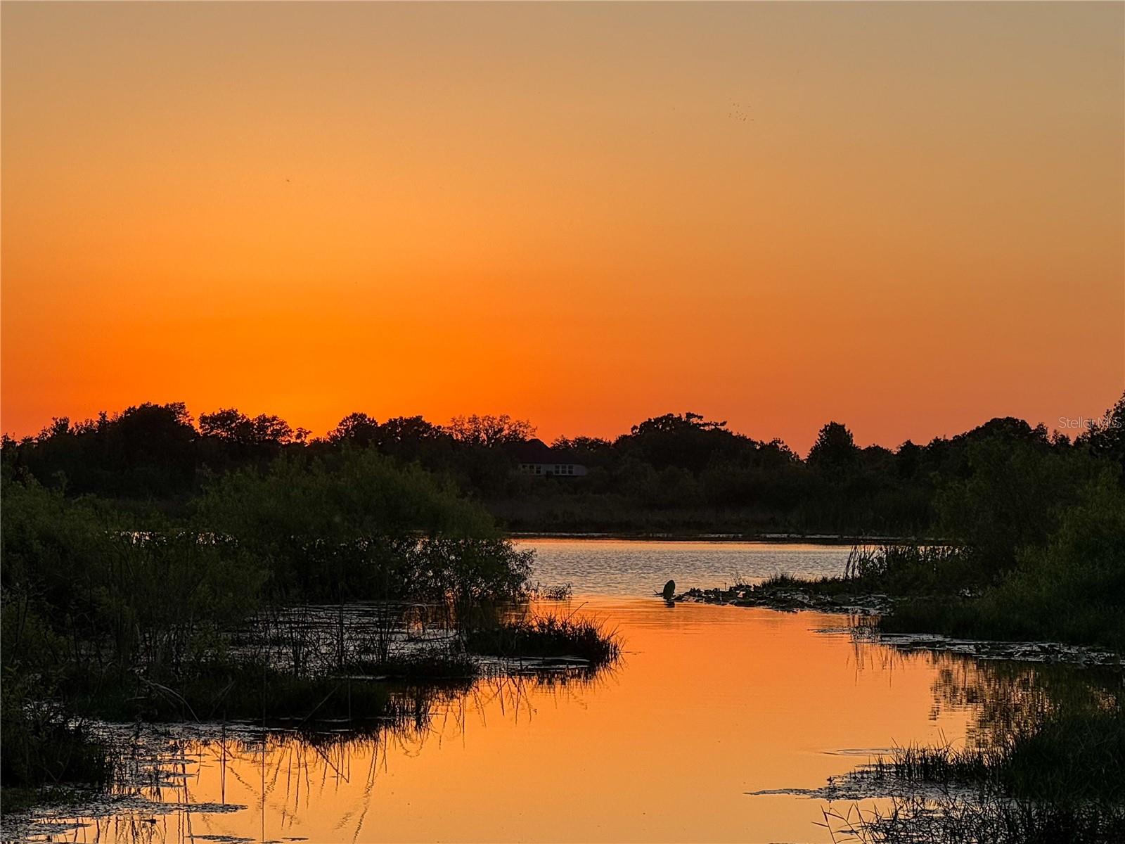 19924 DOLORES ANN CT